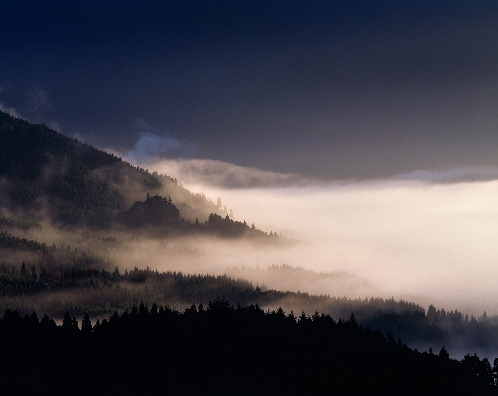 由布院盆地を満たす幻想的な朝霧。金鱗湖を中心にわき上がり、人々が目を覚ますころには霧の湖底となる。
